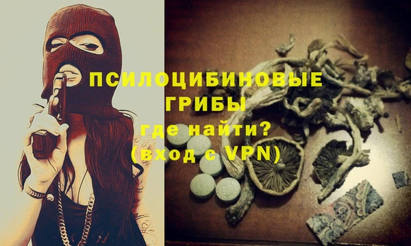 стафф Абинск