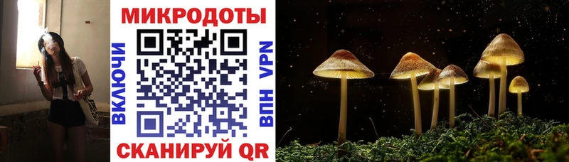 Псилоцибиновые грибы Magic Shrooms omg зеркало нарко площадка телеграм дарнет шоп Александров