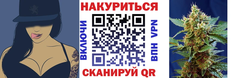 kraken   где купить   Александров  Марихуана сатива 